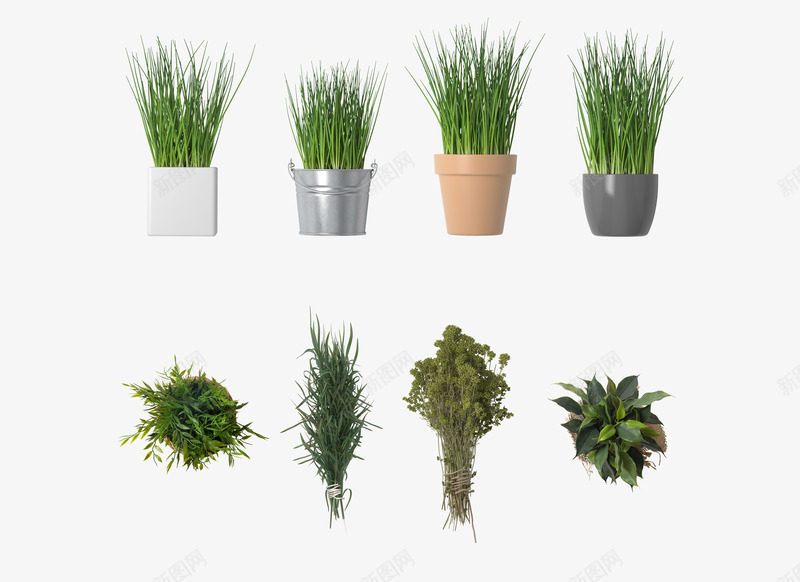 plants1盆栽植物png免抠素材_88icon https://88icon.com 盆栽 植物