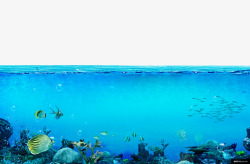 海底世界装饰壁纸素材