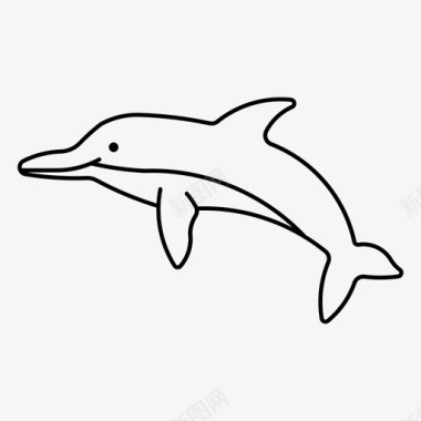 宽吻海豚跳跃海洋图标