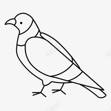 岩鸽鸽子鸟和平图标