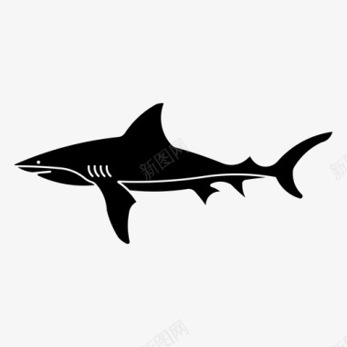 捕食者牛鲨海洋捕食者图标