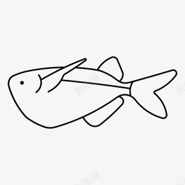 小鱼尖吻鱼动物图标