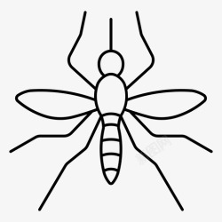 传播疾病蚊虫蚊虫疾病昆虫高清图片