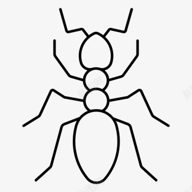 害虫蚂蚁甲虫虫子图标