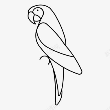 红金刚鹦鹉鸟羽毛生物图标