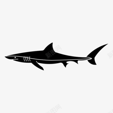蓝鲨海洋捕食者图标