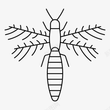 昆虫甲虫蓟马虫子生物图标