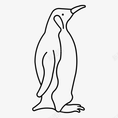 企鹅帝企鹅动物鸟图标