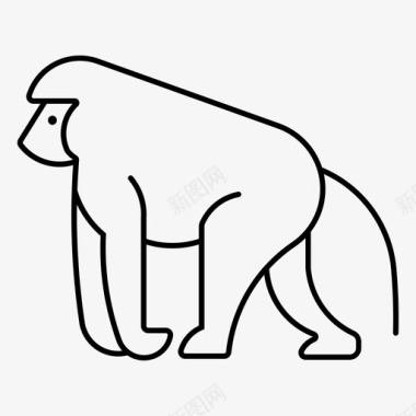 黑猴子狒狒猿黑猩猩图标