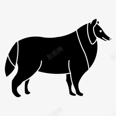 牧羊犬边境犬宠物图标