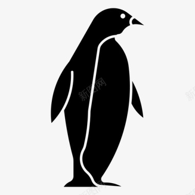 QQ企鹅图标企鹅动物鸟图标