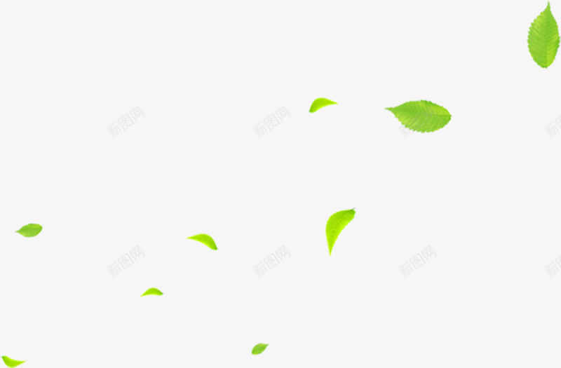 绿色漂浮卡通树叶漂浮壁纸png免抠素材_88icon https://88icon.com 漂浮 绿色 卡通 树叶 壁纸