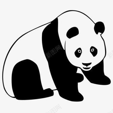熊猫动物大熊猫图标