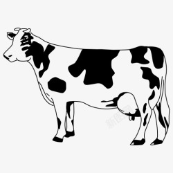 奶牛农场奶牛农场牛奶高清图片