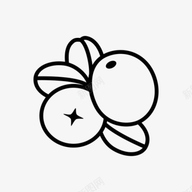 蔓越莓水果图标