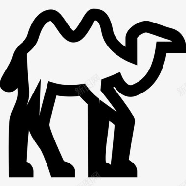 哺乳动物骆驼符号中东图标