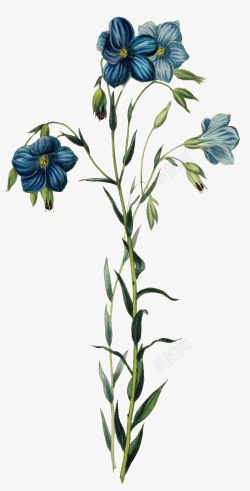 蓝色彩色手绘鲜花动植物壁纸素材