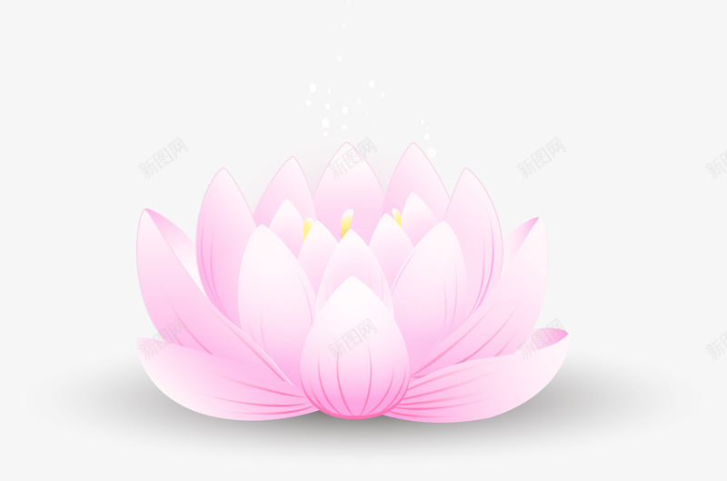 荷花莲花11png免抠素材_88icon https://88icon.com 荷花 莲花