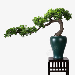 新中式仿真绿植罗汉松迎客松树蓝绿色花瓶端景玄关花几素材