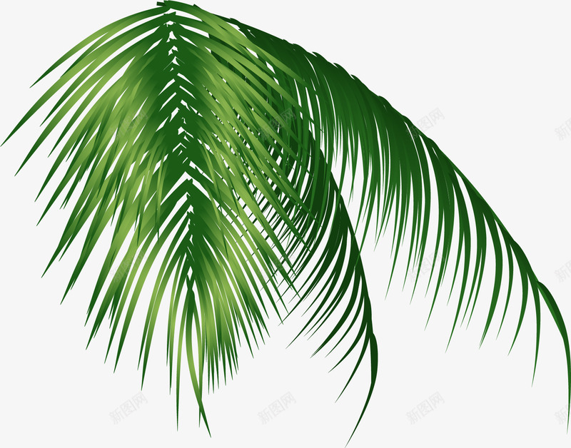 冰爽夏日灬小狮子灬png免抠素材_88icon https://88icon.com 冰爽 夏日 小狮子