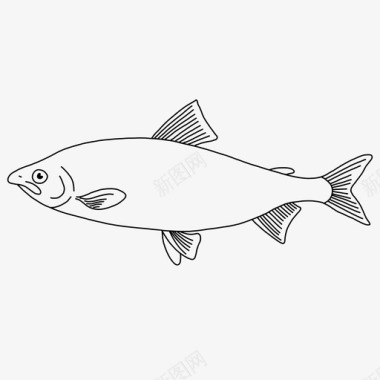 豪庭动物鱼图标