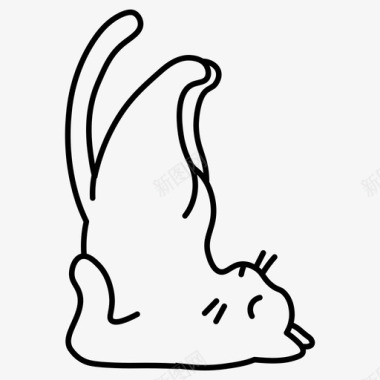 猫壁纸猫瑜伽体式冥想体式图标