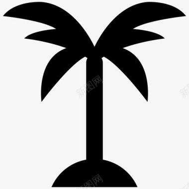 水果热带椰子棕榈树椰子树枣椰图标