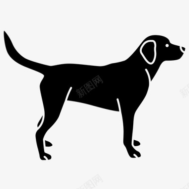 拉布拉多黑色狗图标