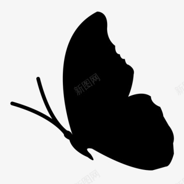 小仙女剪影蝴蝶彩色昆虫图标