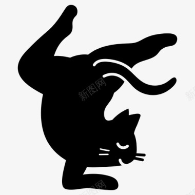 猫壁纸猫瑜伽图标