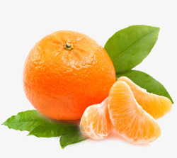 桔子橘子柑橘素材