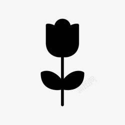 二月花花二月心高清图片