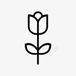 二月花花二月心高清图片