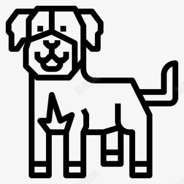 狗狗写真圣约翰动物狗图标