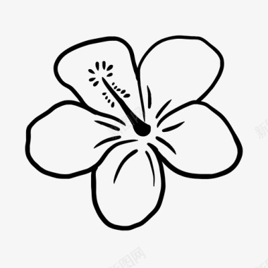 花卉装饰手绘图标