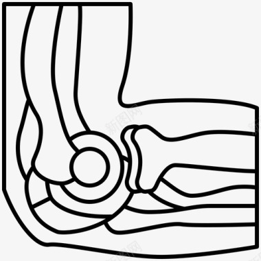 人体头部肘部解剖学关节图标