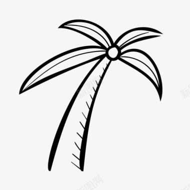 椰子树涂鸦手绘图标