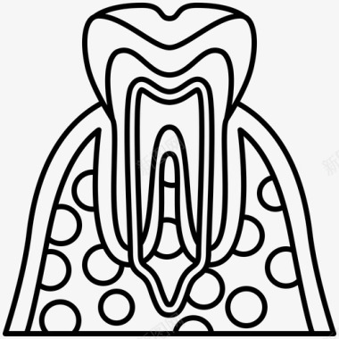 小牙齿牙齿解剖学牙科图标