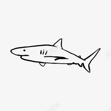捕食者画鲨鱼海洋捕食者图标