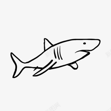 捕食者画鲨鱼海洋捕食者图标