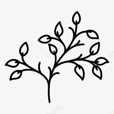 树叶树枝装饰图标