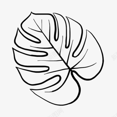手绘植物绿叶叶画花图标