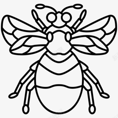 大黄蜂昆虫学园林图标