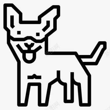 狗狗写真凯尔派狗狗的轮廓图标