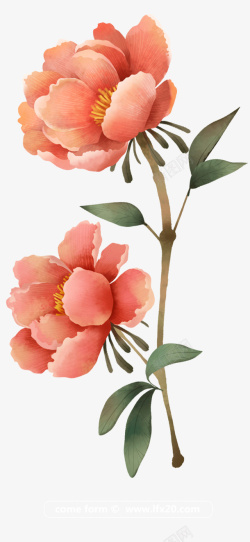 手绘牡丹花环手绘牡丹花花朵装饰元素高清图片