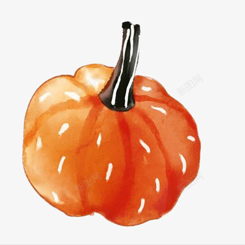 手绘水彩南瓜psd免抠素材_88icon https://88icon.com 手绘 水彩 蔬菜 南瓜