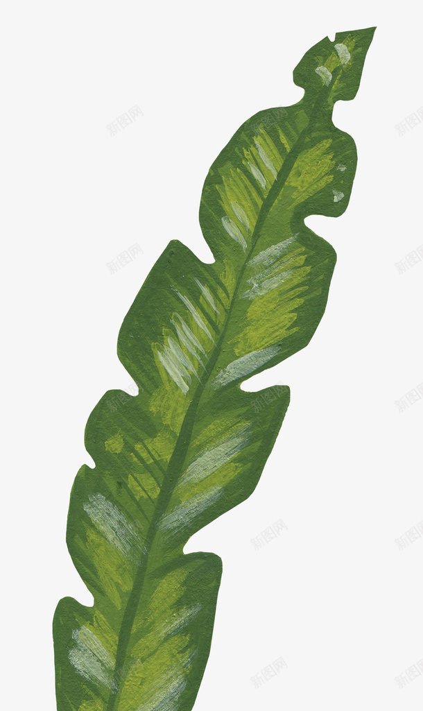 手绘装饰花草元素png免抠素材_88icon https://88icon.com 手绘 花草 装饰 油画