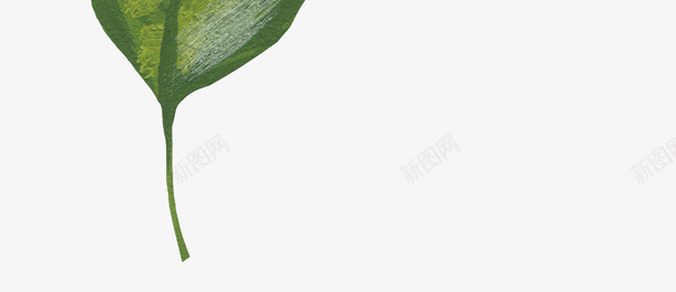 手绘装饰花草元素png免抠素材_88icon https://88icon.com 手绘 花草 装饰 油画