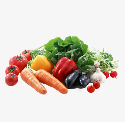 绿色有机健康蔬菜素材