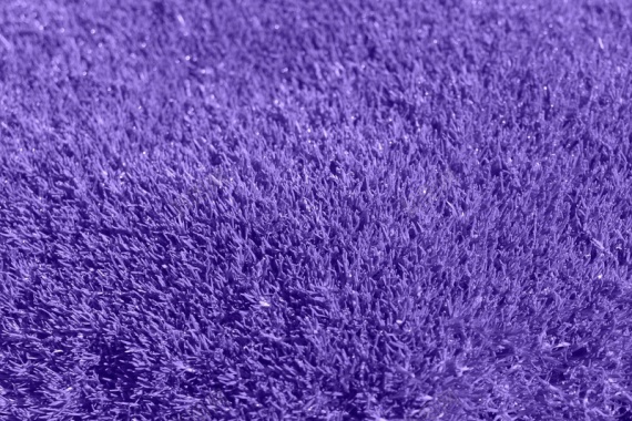 紫色花海植物背景背景